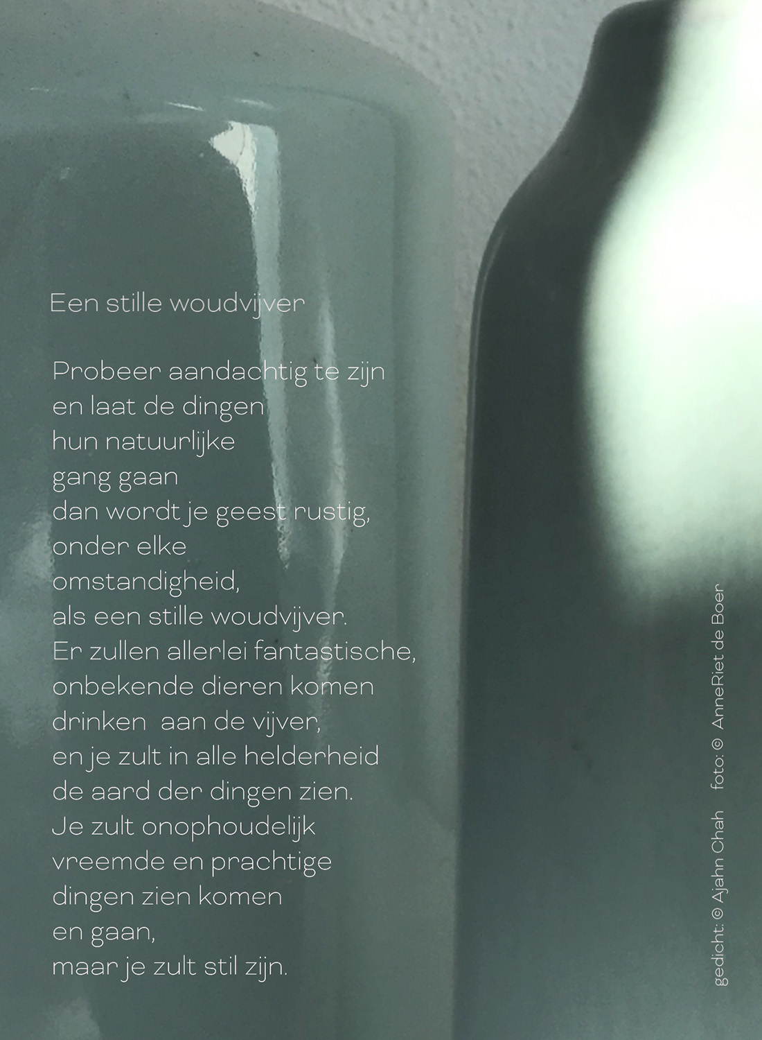 een stille woudvijver gedicht ©Ajahn Chah foto ©AnneRiet de Boer