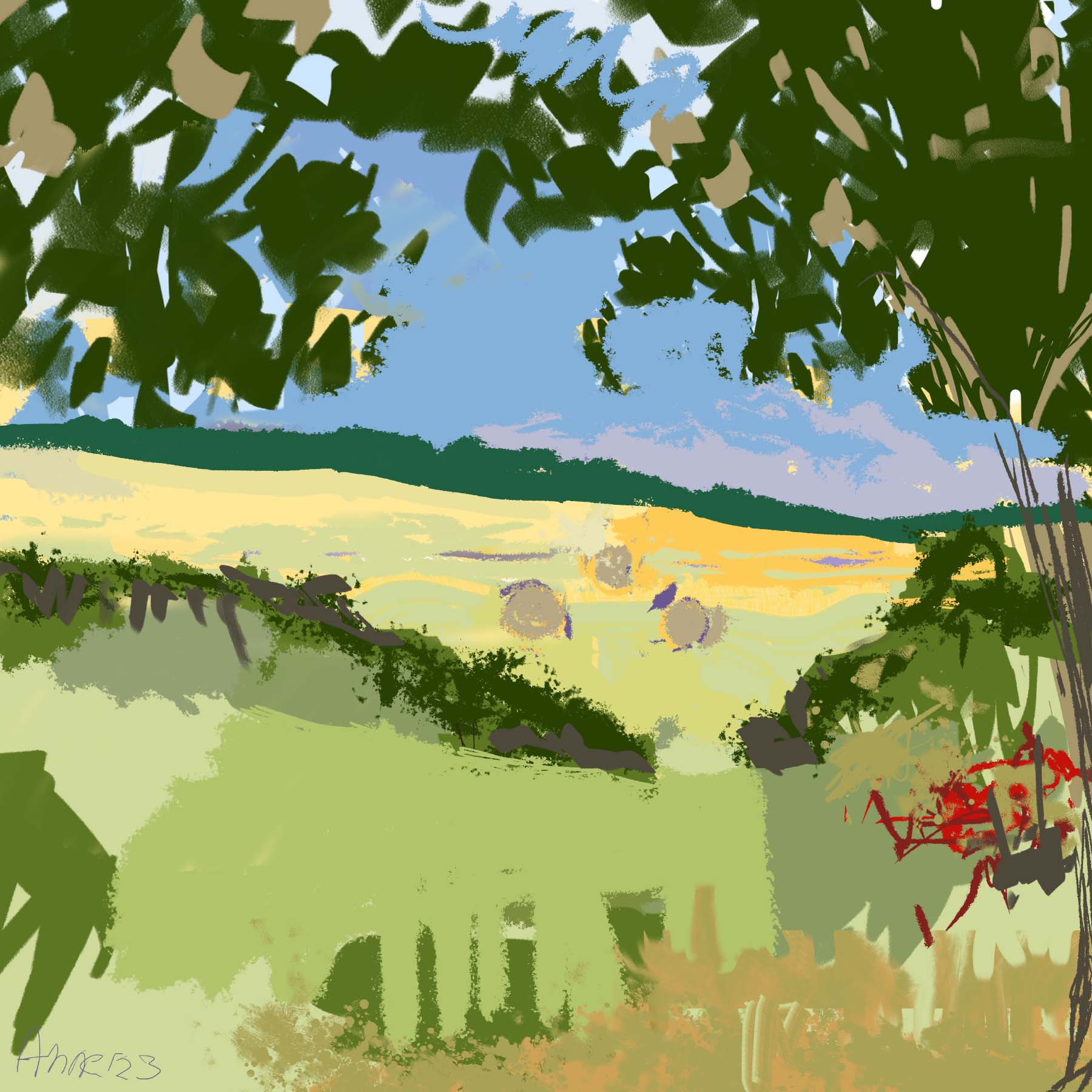 zomer in Frankrijk ©2023 AnneRiet de Boer