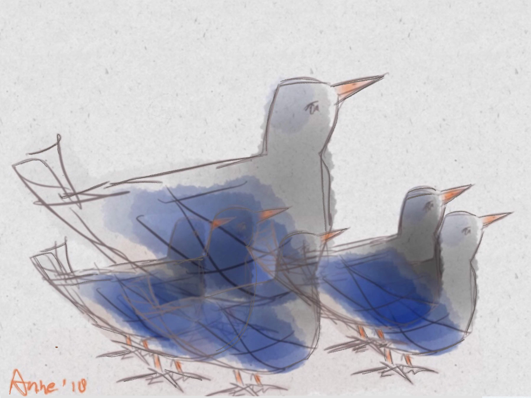 de blauwe vogels @ Anne-Riet de Boer
