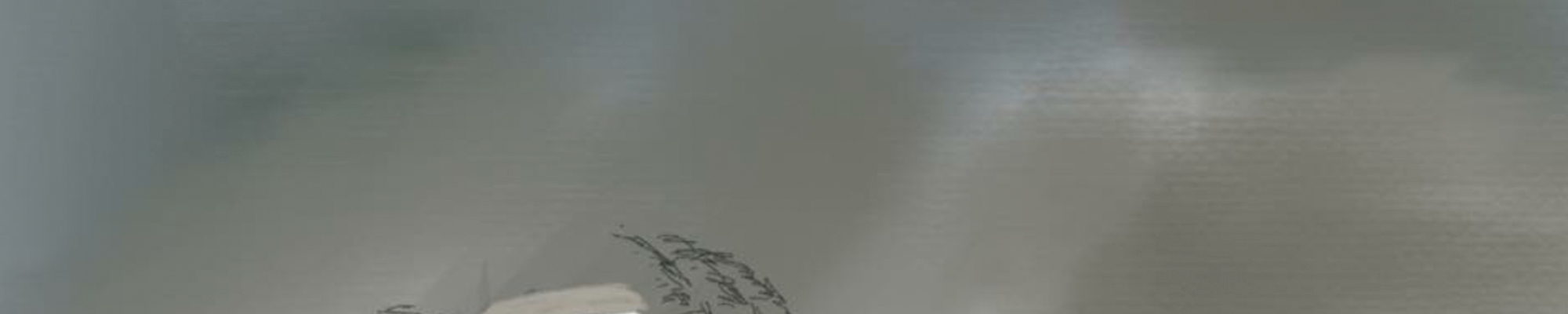 huisje in de storm © Anne-Riet de Boer