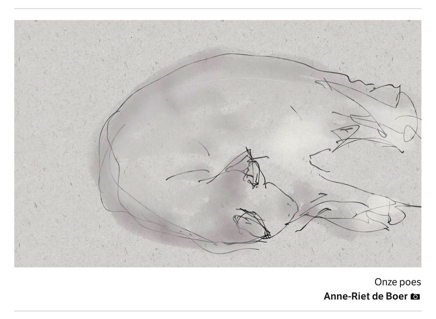 Dusty in grijs © 2020 Anne-Riet de Boer