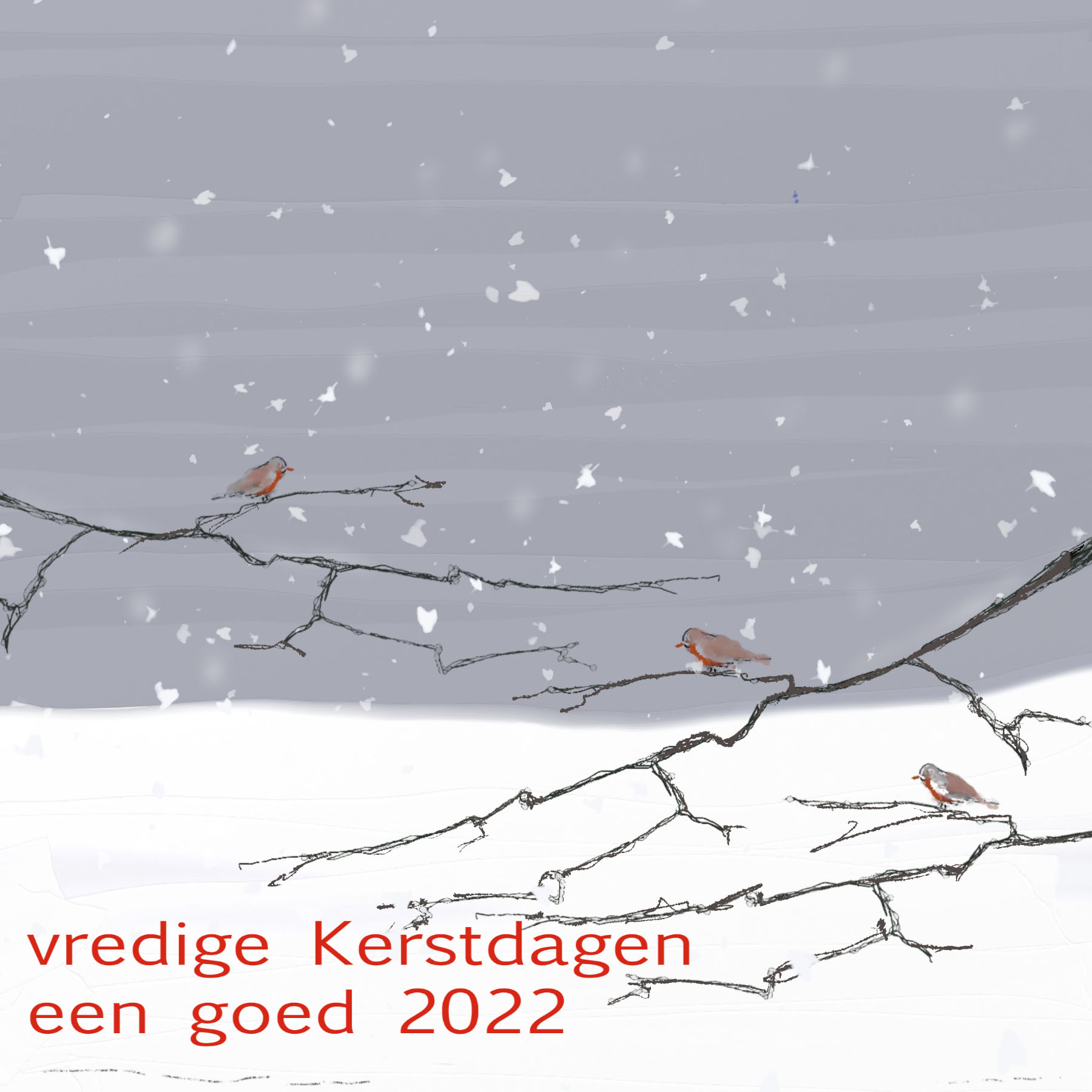 vredige kerstdagen een goed 2022 @ AnneRiet de Boer