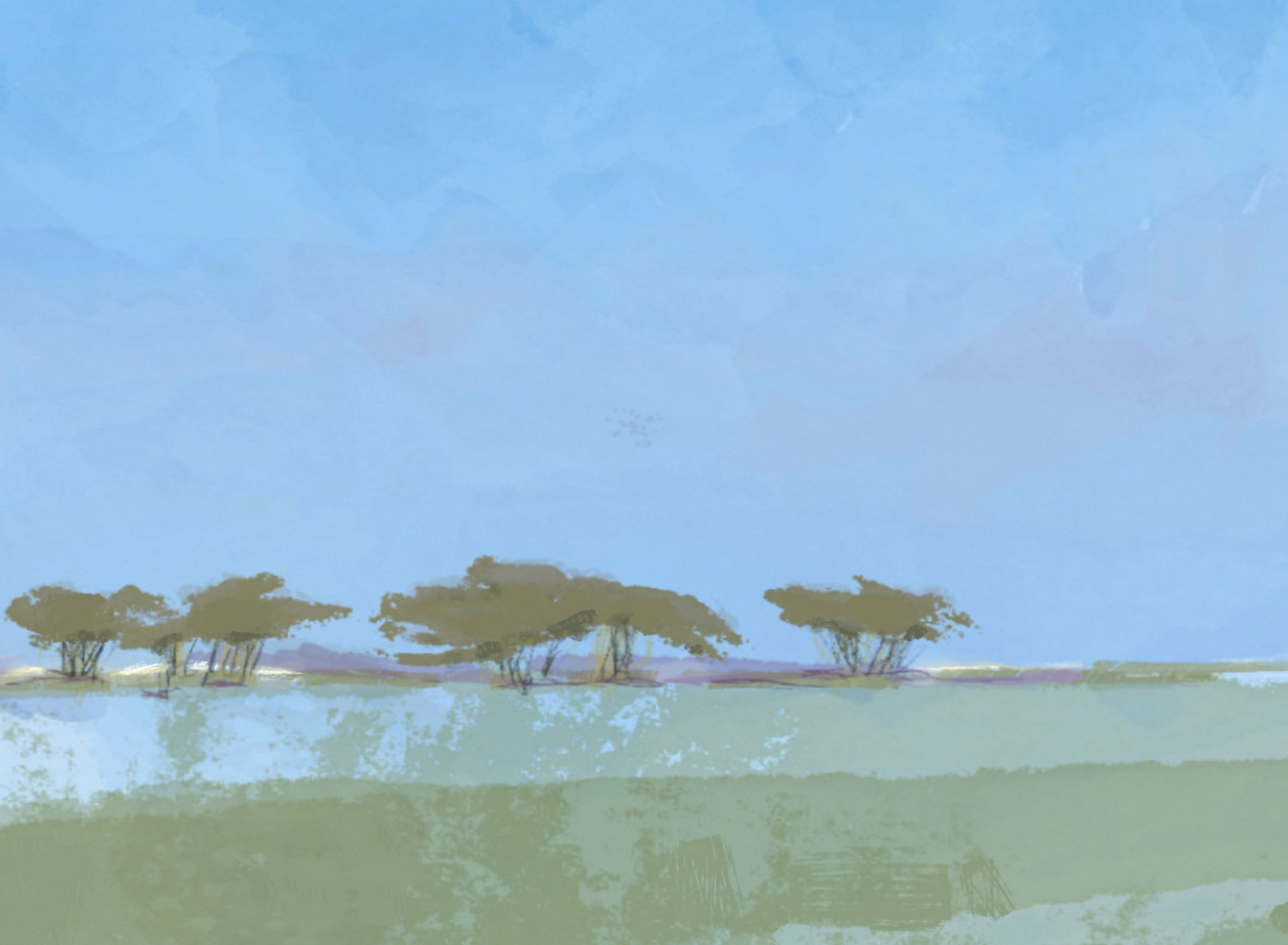 het Wekeromse zand © 2024 AnneRiet de Boer